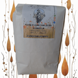 grano duro antico Saragolla @ilmanieroinvallelonga