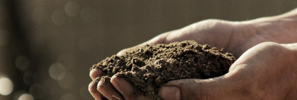mani che stringono la nostra terra
